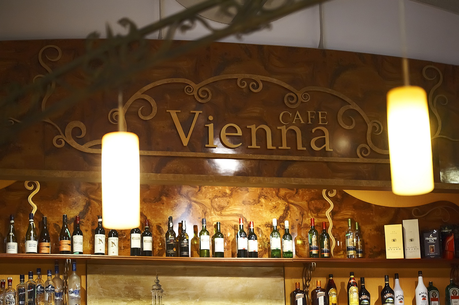  Vienna cafe